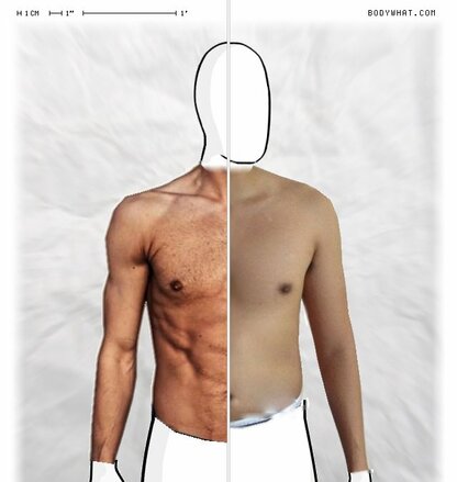 Torso Comparison