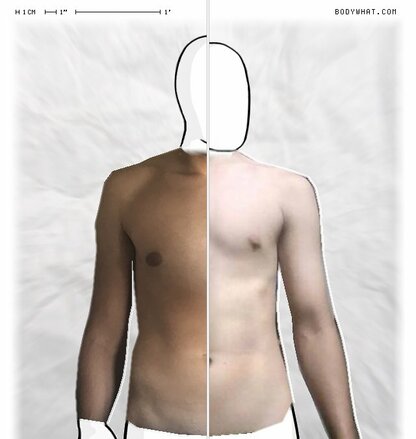 Torso Comparison