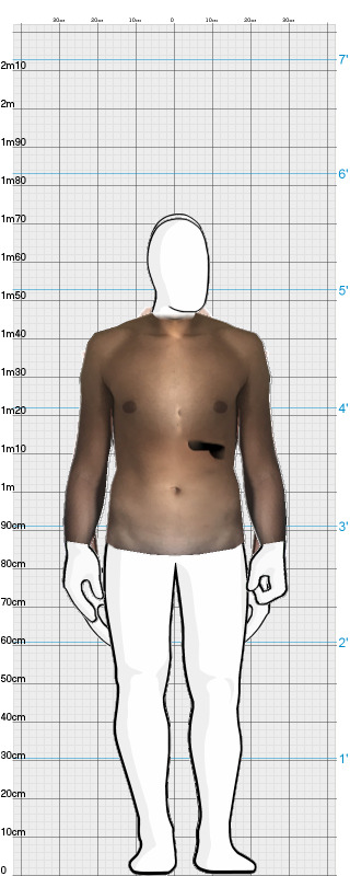 Full Size Comparison