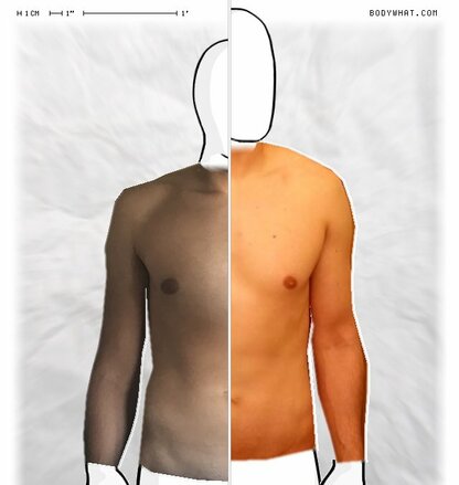 Torso Comparison