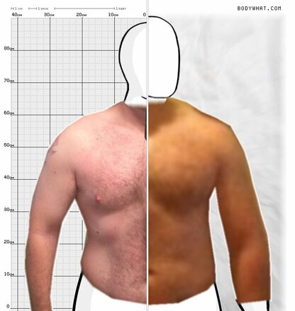 Torso Comparison