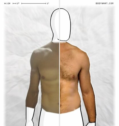 Torso Comparison