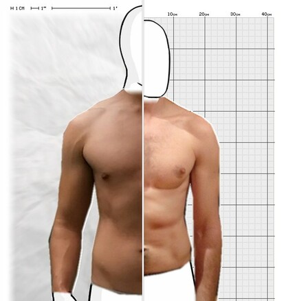 Torso Comparison