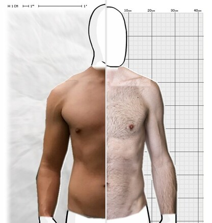 Torso Comparison