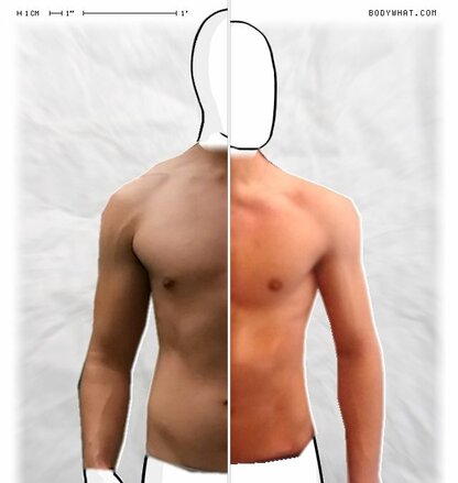 Torso Comparison