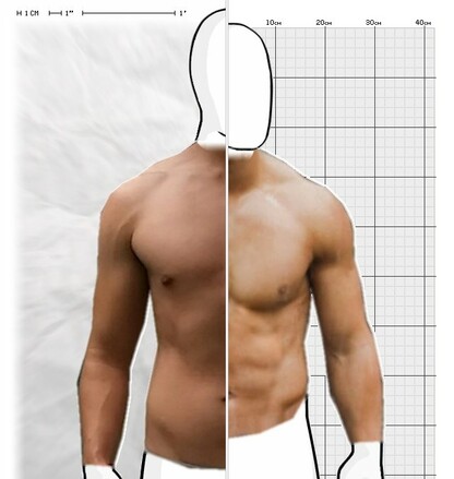 Torso Comparison