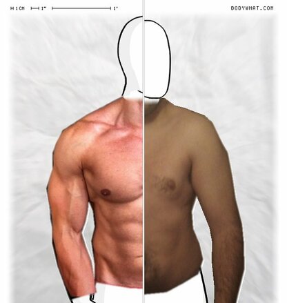 Torso Comparison