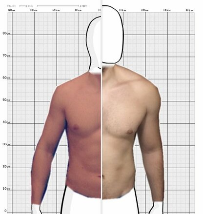 Torso Comparison