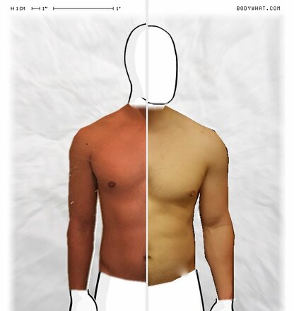 Torso Comparison