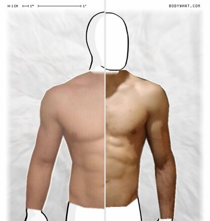 Torso Comparison