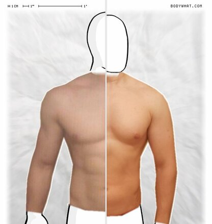 Torso Comparison