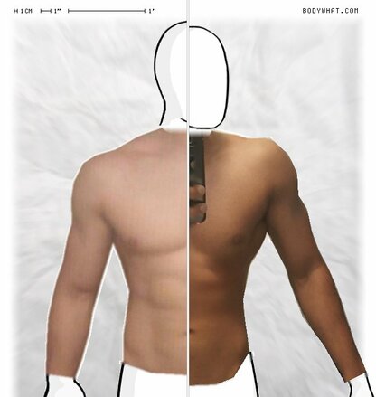 Torso Comparison