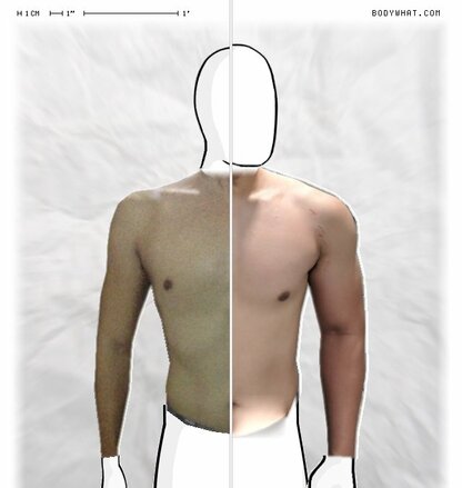 Torso Comparison