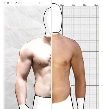 Torso Comparison