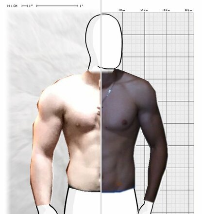 Torso Comparison