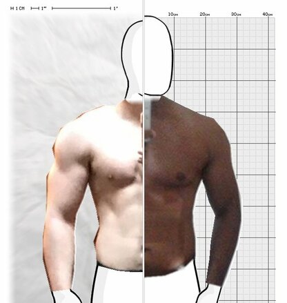 Torso Comparison