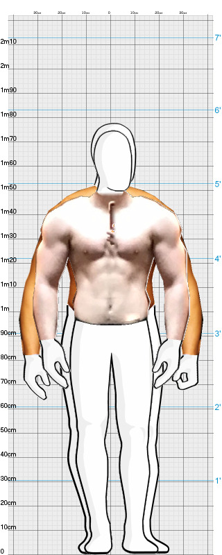 Full Size Comparison