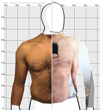 Torso Comparison