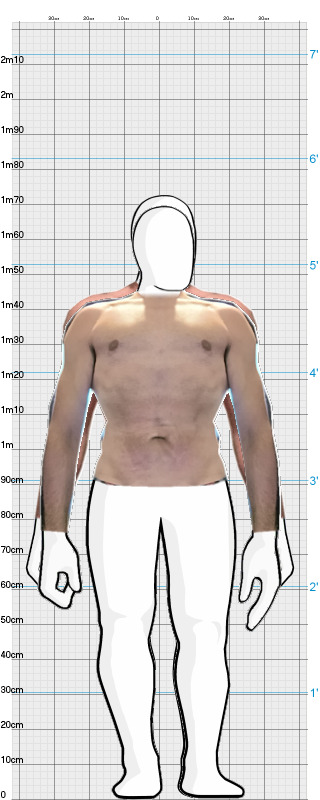 Full Size Comparison