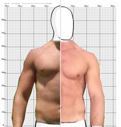 Torso Comparison