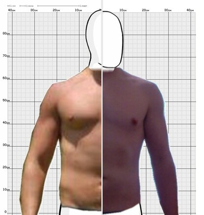 Torso Comparison