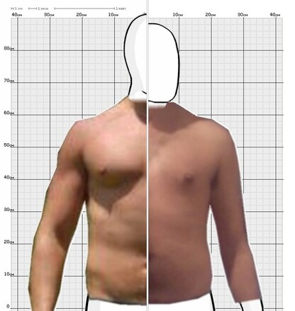 Torso Comparison