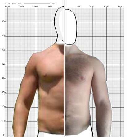 Torso Comparison