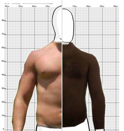 Torso Comparison