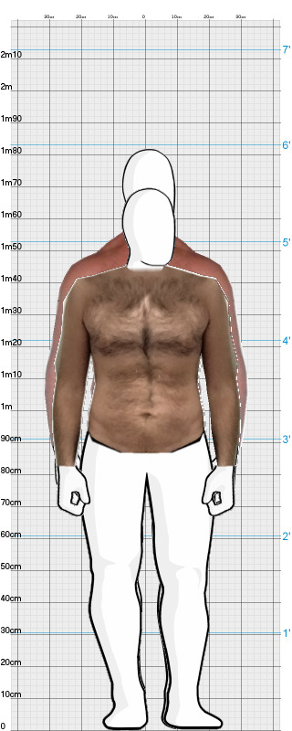 Full Size Comparison