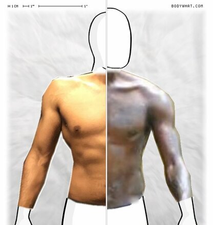 Torso Comparison