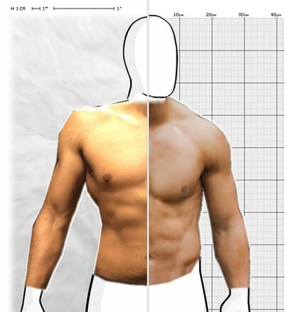 Torso Comparison