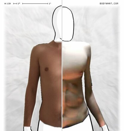 Torso Comparison