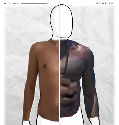 Torso Comparison