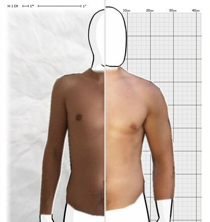 Torso Comparison