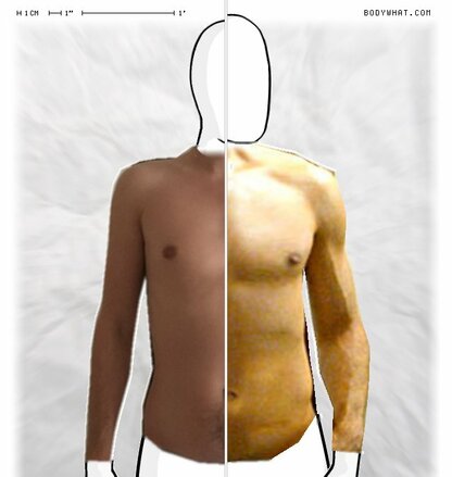 Torso Comparison