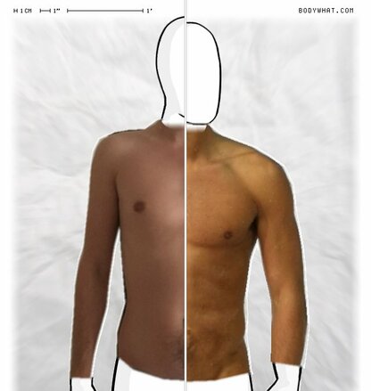 Torso Comparison