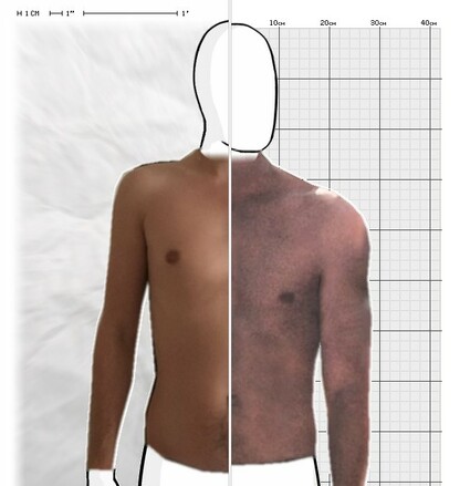 Torso Comparison