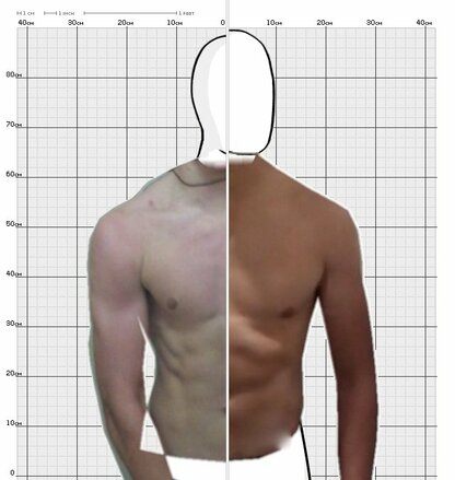 Torso Comparison