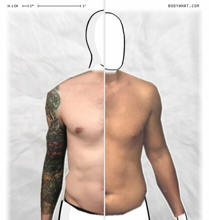 Torso Comparison