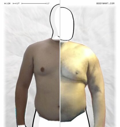 Torso Comparison