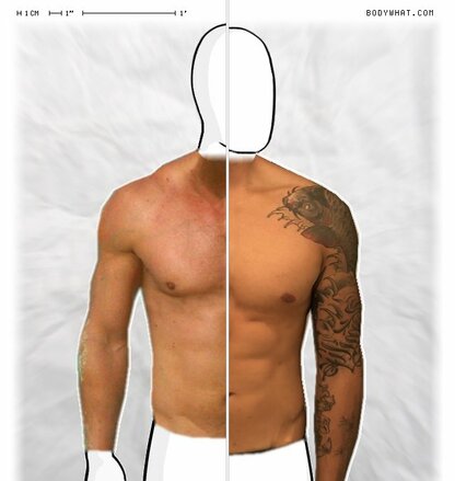 Torso Comparison