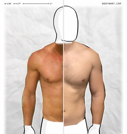 Torso Comparison