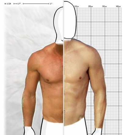 Torso Comparison