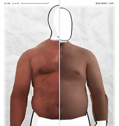 Torso Comparison