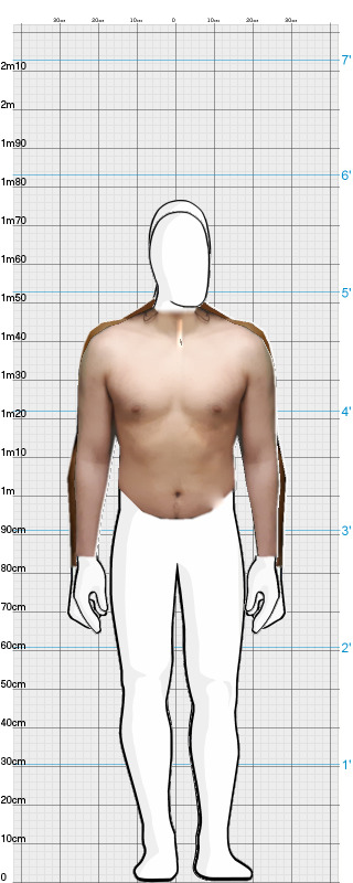 Full Size Comparison