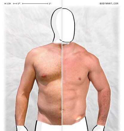 Torso Comparison