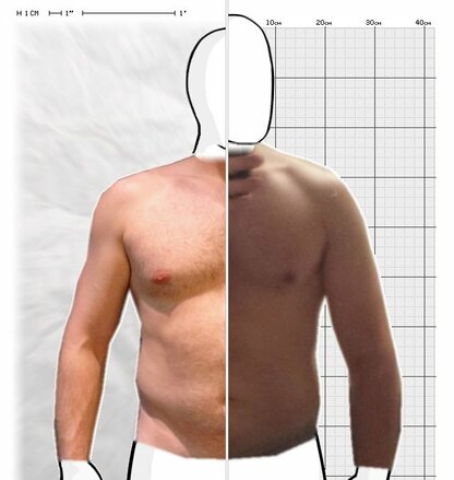 Torso Comparison