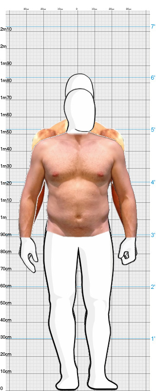 Full Size Comparison