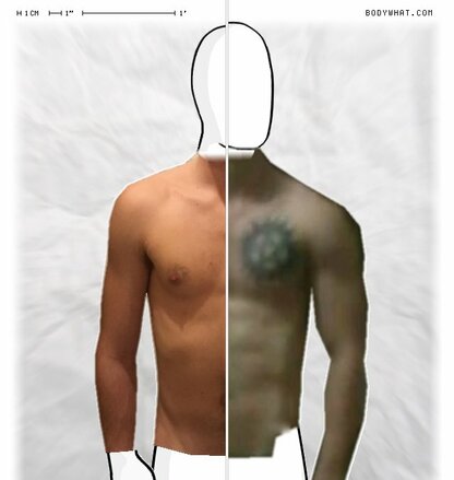 Torso Comparison