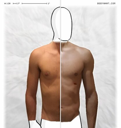 Torso Comparison